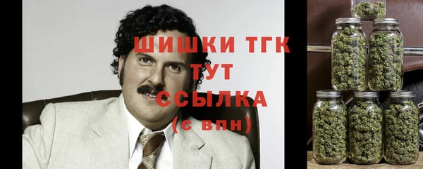 шишки Инсар