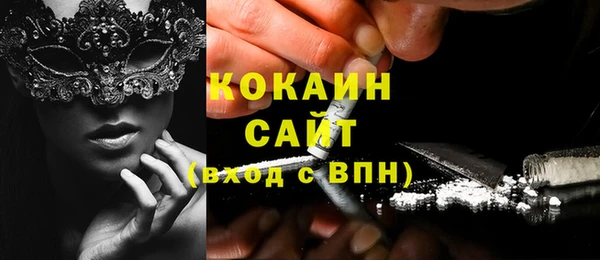 шишки Инсар