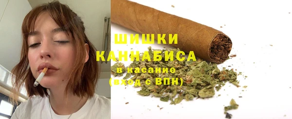 трава Инта