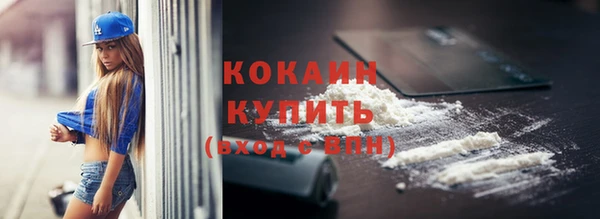 шишки Инсар