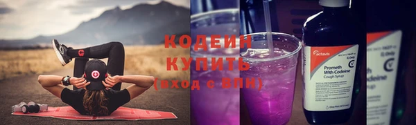 шишки Инсар