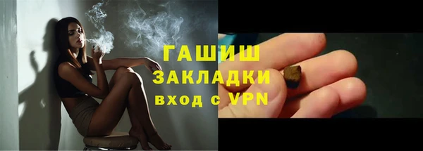 шишки Инсар