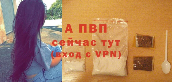 шишки Инсар