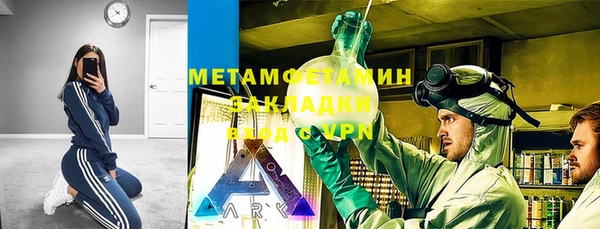 шишки Инсар