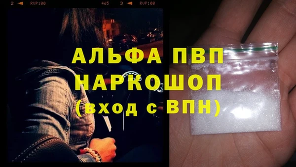шишки Инсар
