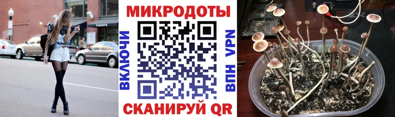 Купить где  Еманжелинск  Псилоцибиновые грибы Psilocybine cubensis 